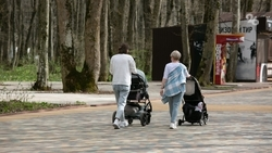 В 2025 году на Ставрополье будет порядка 50 тыс. многодетных семей