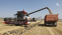 Политолог Семёнов: Курорты и АПК являются мощным фундаментом Ставрополья 