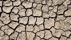 Земля треснула на полях Курского округа