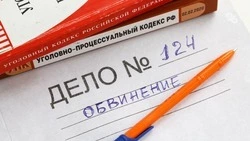 Ставропольца, сбившего двух подростков, приговорили к двум годам лишения свободы