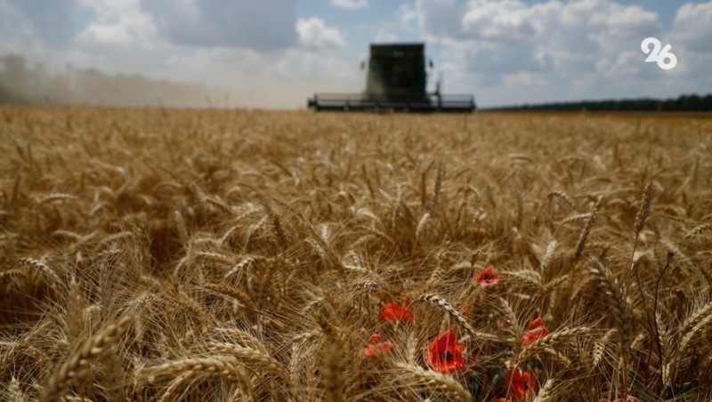 Порядка 8,2 млн тонн зерна намолотили аграрии Ставрополья в 2023 году