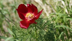 20 фотоловушек установили на особо охраняемых природных территориях Ставрополья