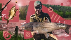 Ставропольская рыба предпочитает клубнику: специалист по ловле карпов и белого амура поделился профессиональным секретами