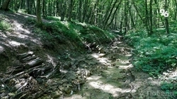 Геолог: Особенность грунта в Ставрополе могла стать причиной провалов тротуаров после дождей