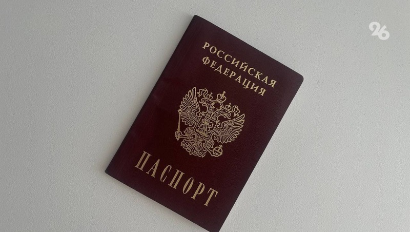 Депутат Госдумы РФ предложил проверить законность выданных паспортов иностранцам