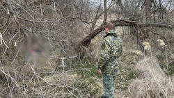 Прокуратура взяла на контроль дело о гибели подростка на Ставрополье