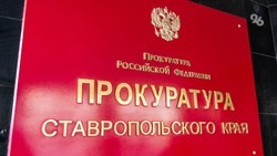 Прокуратура организовала проверку после инцидента на предприятии в Зеленокумске