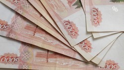Более 341 миллиона рублей заплатили в 2022 году самозанятые ставропольцы в виде налога
