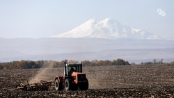 Аграрии Ставрополья получили 6,3 млрд рублей господдержки в 2025 году