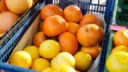 Ярмарки выходного дня пройдут в Ставрополе 13 и 14 декабря