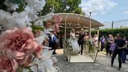 Более 50 свадеб сыграют в Ставрополе в канун Дня города 