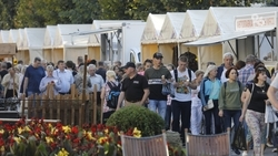 Соревнование по экстремальной кулинарии прошло в Кисловодске