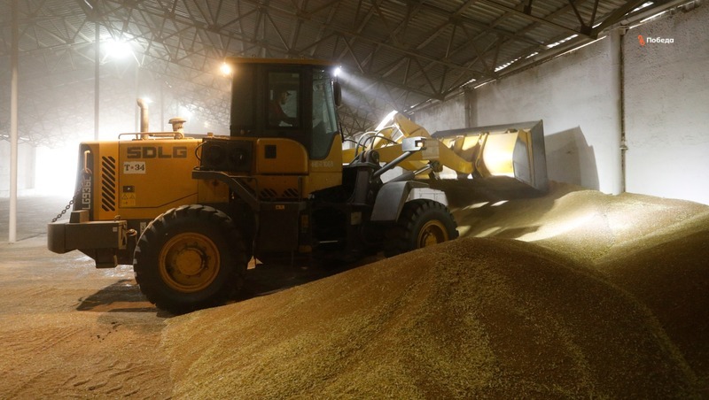 Экспорт пшеницы и меслина в Грузию увеличился на Ставрополье
