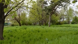 Семью из трёх человек спасли из леса в Ставрополе