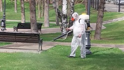 Более 3 тонн химикатов от клещей распылят в зелёных зонах  Кисловодска