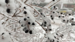 Штормовое предупреждение продлили на Ставрополье до 7 мая из-за заморозков