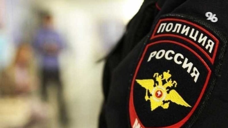 Полиция разбирается в обстоятельствах нападения пса на ребёнка в Михайловске