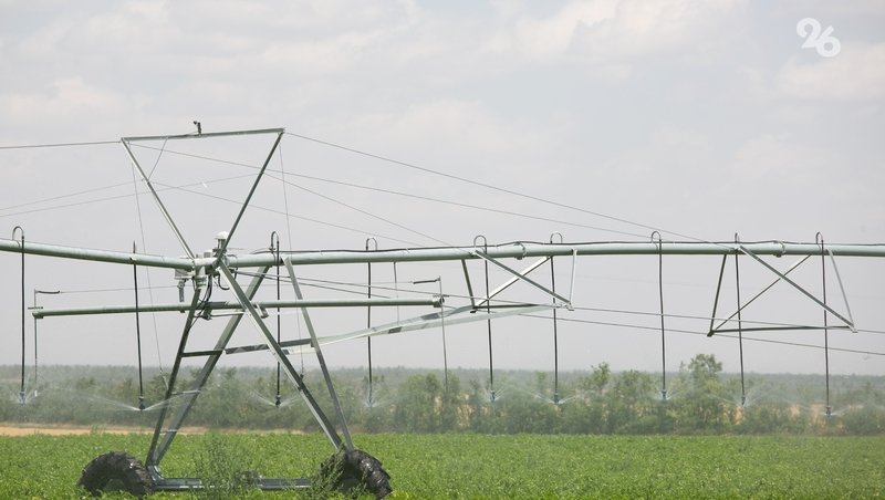 Более 200 млн кубометров воды пойдут на орошение полей Ставрополья в 2025 году