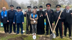 В Кировском округе у школы, где завершился капремонт, высадили Аллею Памяти