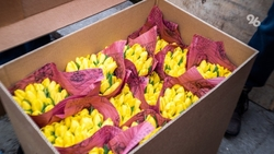 Чебурашка и Гена подарят цветы женщинам в Кисловодске 8 марта