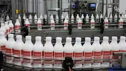 Около 45 видов молочной продукции выпускает молзавод на Ставрополье 