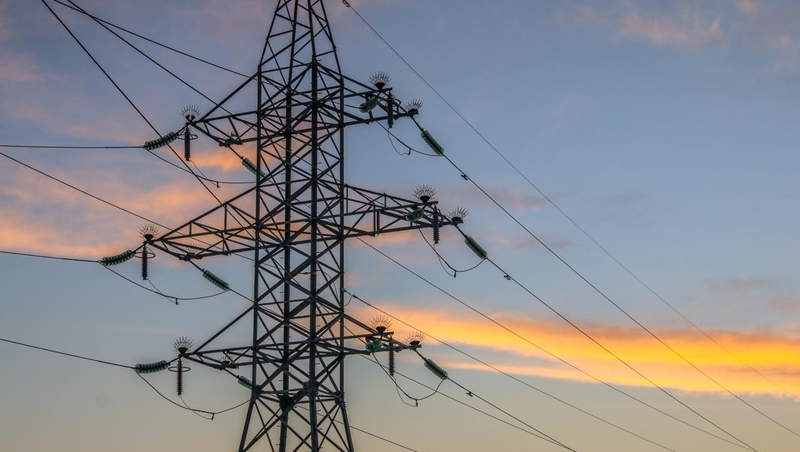 На ставропольских ЛЭП установят более 1,1 тыс. устройств защиты от птиц