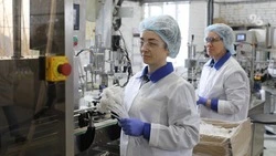 Около 270 млрд рублей внесут в экономику Ставрополья новые инвестпроекты