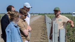 Магистранты из Москвы узнали о ставропольском сельском хозяйстве