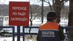 Двух мальчиков, провалившихся под лёд, спасли в Кисловодске 