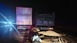 Зерновоз и грузовик столкнулись на трассе «Кавказ» на Ставрополье