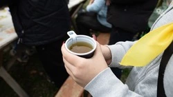 Чай из облепихи поддерживает здоровье сердечно-сосудистой системы — Роскачество