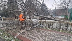 Последствия непогоды устраняют на Ставрополье