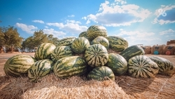 Программу ярких выходных в Кисловодске опубликовала «Победа26»