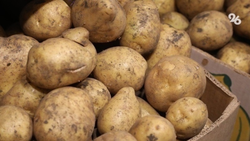 Картофель на Ставрополье подешевел на 6,5% за неделю с 21 по 27 октября