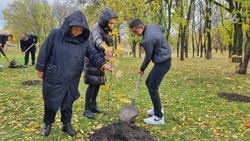  В Предгорном округе в память о погибших земляках — участниках СВО высадили деревья