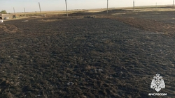 Пожар в пшеничном в полях на площади 7 тыс. кв. м потушили в Левокумском округе