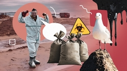 «За день – 1,5 тысячи мешков с мазутом»: волонтёр из Ставрополя присоединился к работе на анапском побережье