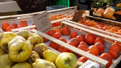 Число ярмарочных площадок на Ставрополье выросло за год на 6% — глава края