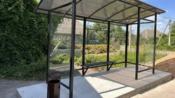 Четыре новые остановки общественного транспорта установили в Кировском округе