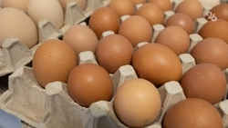 887 млн яиц произвели на Ставрополье за 2025 год