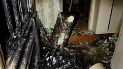 В пожаре в селе Гофицком на Ставрополье пострадали два человека