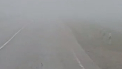 Видимость на дорогах Курского округа не превышает 10 метров из-за тумана