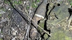 Мину времён Великой Отечественной войны нашли рядом с кладбищем в Предгорье