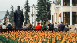 Объём курортного сбора в Кисловодске в 2022 году превысил 73 миллиона рублей