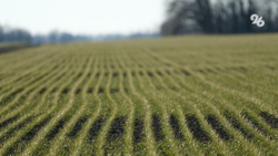 Более 20 хозяйств Ставрополья вели опасные обработки полей авиацией