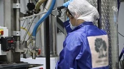 Основной прирост экспорта дают пищепром и переработка — губернатор Ставрополья