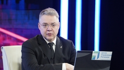 Губернатор призвал поддержать пострадавших от некачественного капремонта в Михайловске