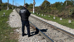 Поезд насмерть сбил 12-летнего мальчика на Ставрополье