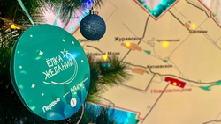 Новоселицкий округ присоединился к акции «Ёлка желаний»