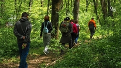 Отряд «ЛизаАлерт» на Ставрополье отработал 39 заявок за май